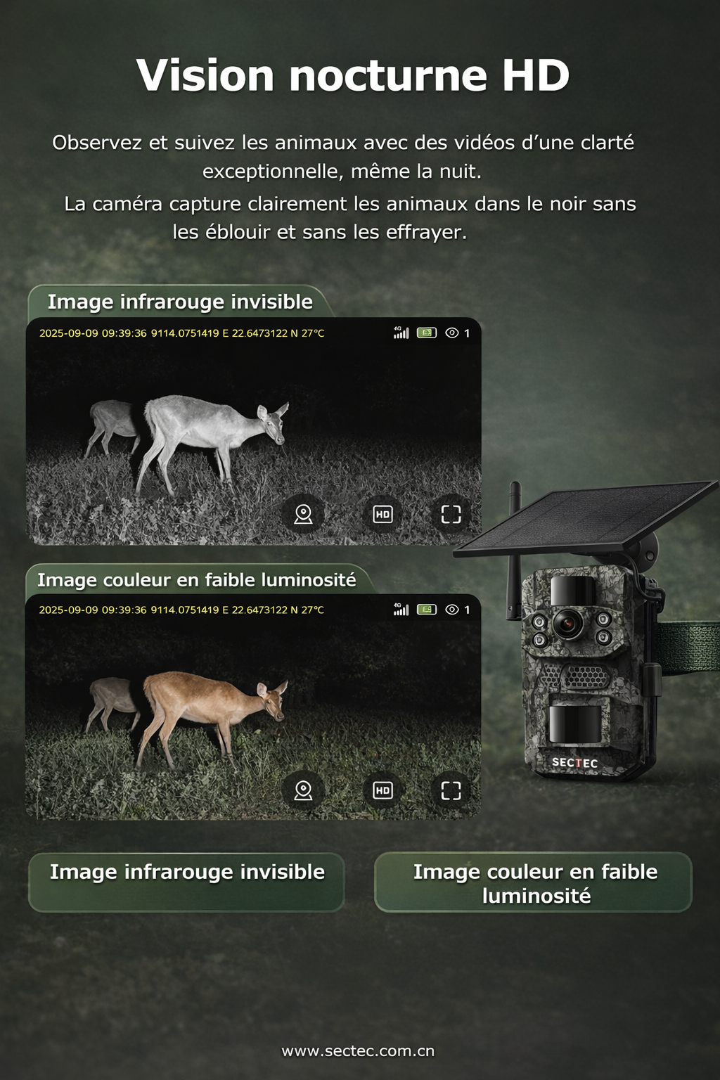 Caméra de chasse solaire – 3MP